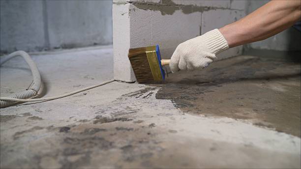 SJ Waterproofing Pros Waterproofing coverage map for Knoxville, IL and surrounding area